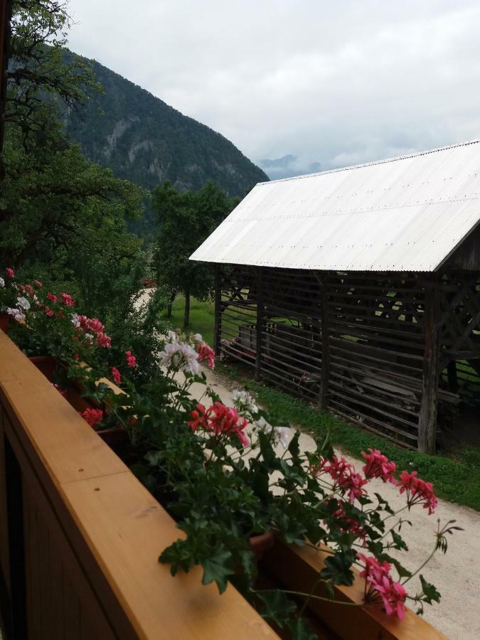 Apartma Momo Bohinj Exterior photo